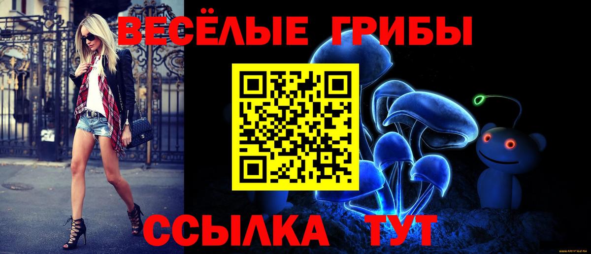 где можно купить   Псилоцибиновые грибы Psilocybine cubensis  Вход с VPN  Канск 