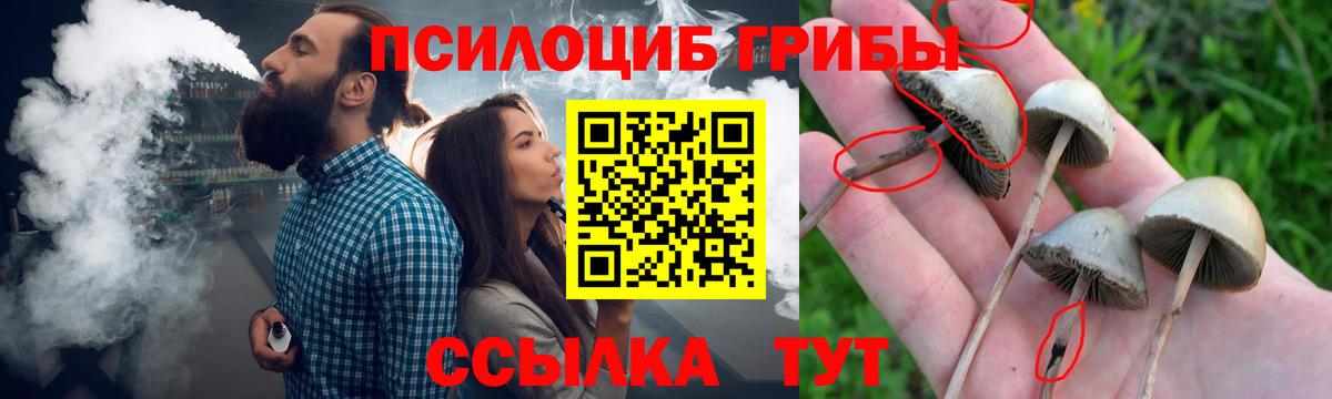 Псилоцибиновые грибы MAGIC MUSHROOMS Канск